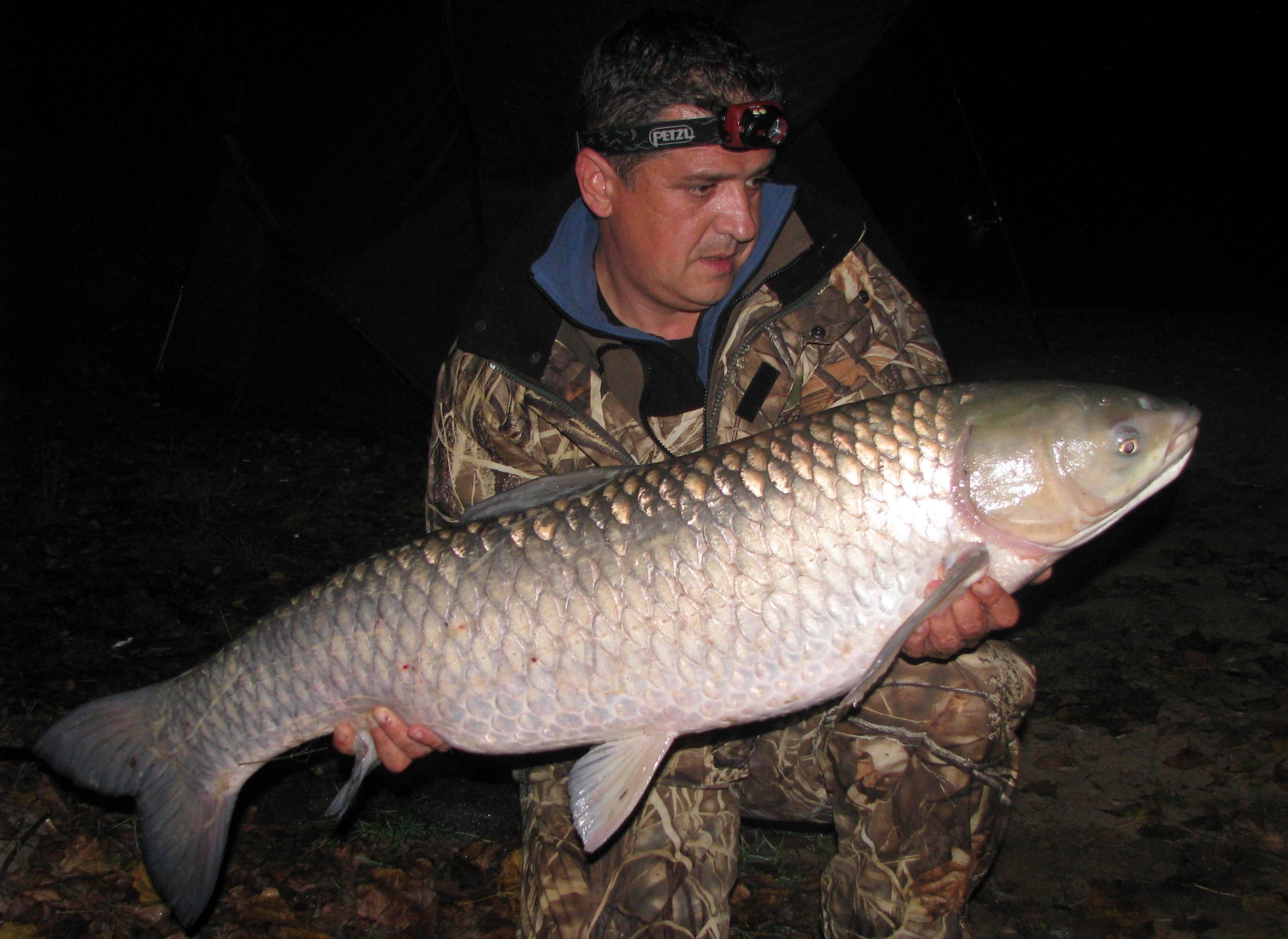 septembrie - octombrie 2012 - amur14,5.jpg